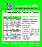 Lose Weight in 15 Days